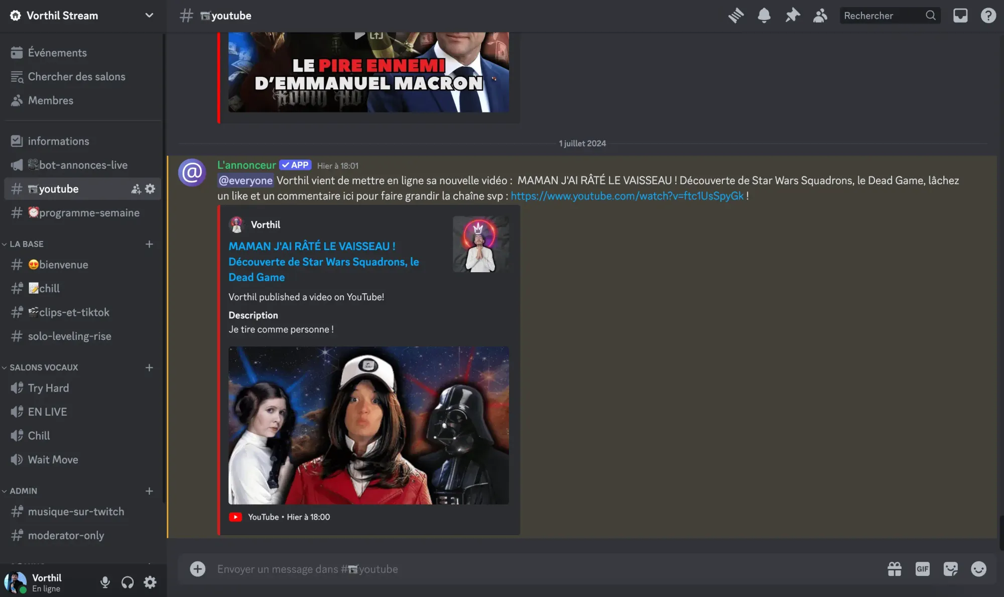Capture d'écran du serveur Discord de ma chaîne Twitch : Vorthil !